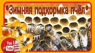 Зимняя подкормка пчёл.Канди.Состояние семей на январь.