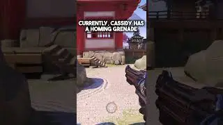 McCree is OLDER than your Step-Sister