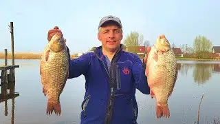 Попал В ЛОГОВО ЗДОРОВЫХ КАРАСЕЙ. Крупный Карась на Поплавочную Удочку.