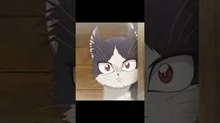 Дал ей имя😺 || Домашний питомец, иногда сидящий на моей голове #аниме #anime