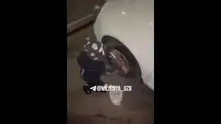 8 yoshdagi bola halol pul topib ota Onasini hajga bormoqchi Маладес
