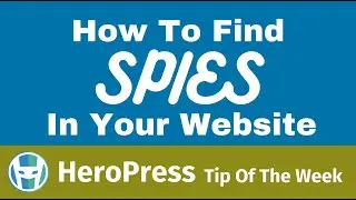 How To Find Spies In Your Website