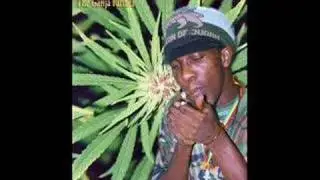 Ganja Farmer riddim - Marlon Asher, Jungle,  Khari Obafemi