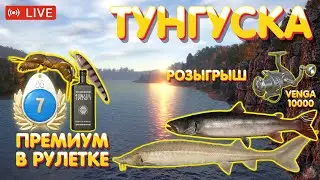 ПРЕМ аккаунты в Рулетке | Тунгуска - Таймень, Осётр | Турниры | Русская рыбалка 4 стрим рр4 #567