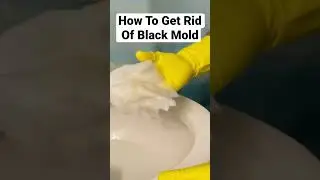 How To Get Rid of BLACK MOLD in a Toilet Bowl with Cleaning Vinegar 