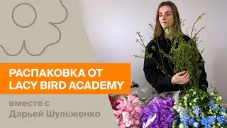 Распаковка поставки вместе с Дарьей Шульженко из Lacy Bird Academy