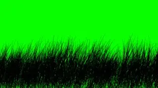 Grass Silhouette Animation On Green Screen Background Effects hd Footage