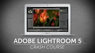 Program Layout  | Adobe Photoshop Lightroom Tutorial 1