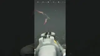 I MET THE KRAKEN 