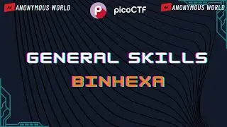 BinHexa Pico CTF 2024 Walkthrough | General Skills