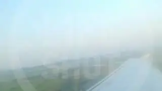 посадка А-321 на кукурузном поле