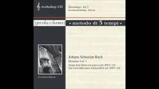 Singet dem Herrn ein neues Lied  BWV 225 - J.S. Bach - Alto 2 - Alt 2 - T2
