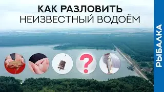 Как ПОЙМАТЬ рыбу НА НЕЗНАКОМОМ водоёме?