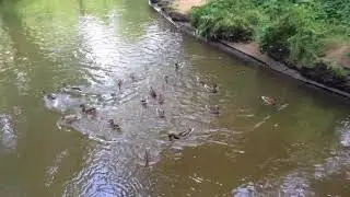 Усадьба Строгановых в Братцево. И это Москва