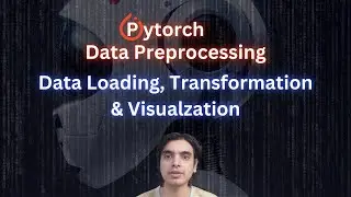 PyTorch Data Preprocessing Step-by-Step: Load, Transform & Visualize