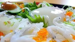 Eating Japanese food Donburi "Shirasu don" (ASMR)