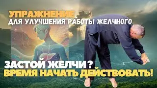 Застой желчи? Время начать действовать!