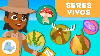 Clasificación de los SERES VIVOS 🦠 🐰 5 REINOS 🌱 Ciencias para niños