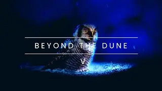 Beyond The Dune V : The Moon Light Sonata | Amazing Wildlife Photography | Photography Essay