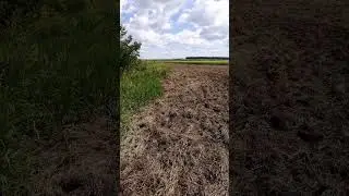 Республика Мордовия. Водоохранная зона реки Сивинь распахана под русло.