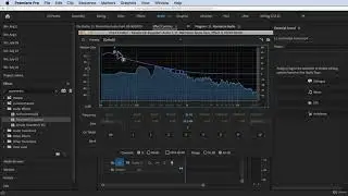 How to Use Parametric Equalizer#Adobe Premiere Pro Complete Video Editing Masterclass Udemy