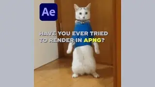 APNG EXPORT for Adobe After Effects