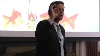 Administrator Promo