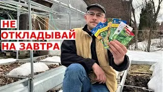 Сходит снег, что УЖЕ можно посеять в огороде?