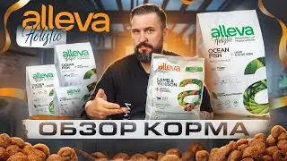 Корм Alleva Holistic если нужно мясо в корме | 54% дегидрированного и 20% свежего мяса | Обзор