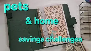Pets & Home Savings Challenges from @dyingoutlawGamesandBudgets