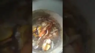 ПРИГОТОВЛЕНИЕ КАШИ НУТРИЯМ. Мой рецепт.