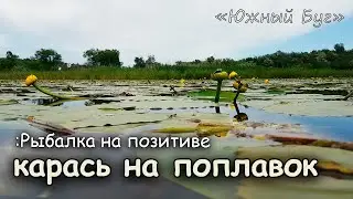 Карась на поплавок. Ловля карася в Кувшинке. Рыбалка Южный буг