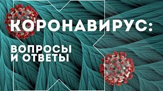 Как работают стоматологи в период пандемии коронавируса — рубрика «Коронавирус: вопросы и ответы»