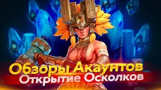 Стрим № 328  Капитан Пёсик Raid Shadow Legends