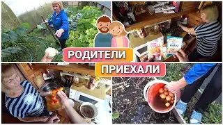 ВЛОГ! На даче с МАМОЙ и ПАПОЙ😍//Готовим на даче/Порвало шатёр над бассейном/Простая жизнь Голдобиных