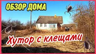 Хутор с клещами за 3 тыс $. Обзор дома и участка. Что продают на Браславских озерах?!