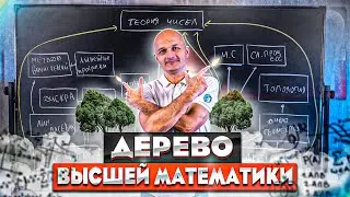 Высшая математика. Рисую дерево вышмата