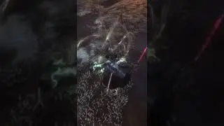 Fight of the best swordsman | Sekiro