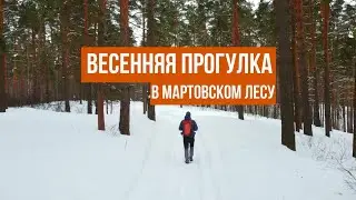 Весенняя прогулка в мартовском лесу / Сосновый бор с квадрокоптера