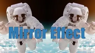 Mirror - Vegas Pro