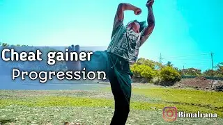Cheat gainer progression   | cheat gainer tutorial