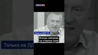 Жириновский: Дети - это не ваши вещи! Гениальные слова ВВЖ о семье #ввж #жириновский