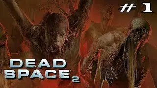 Dead Space 2 ✶ Побег из психбольницы ✶ часть 1 ( Мертвый Космос 2 ПРОХОЖДЕНИЕ )