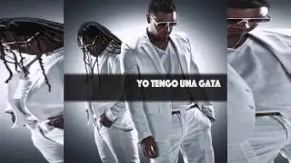 Zion y Lennox Feat Daddy Yankee, Plan B, Arcangel y mas - Yo tengo una Gata