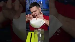 🪰Дрозофилы в банке  