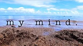 my mind -  Megan Blanco (Lyric Video) (Original Song)
