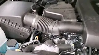 2016, 2017, 2018, 2019, 2020 & 2021 Toyota Tacoma - 3.5L - How To Check Power Steering Fluid Level