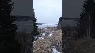 Состояние р.Печора на 25.04.24 / Скоро ледоход