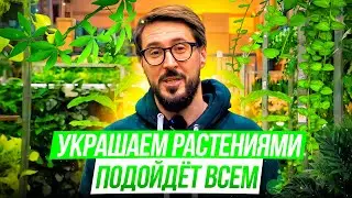 Эти РАСТЕНИЯ ПРЕОБРАЗЯТ ваш ИНТЕРЬЕР до НЕУЗНАВАЕМОСТИ!