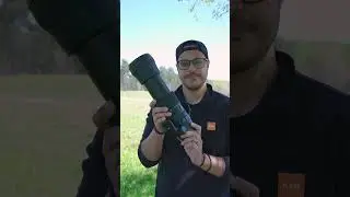 Telephoto lenses — prime vs. zoom 